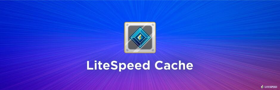 LiteSpeed Cache Plugin